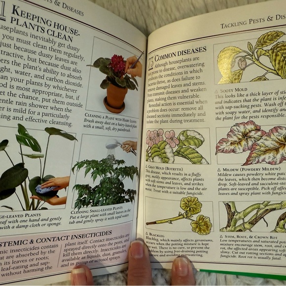 Houseplants Book Duo - Picture 5 of 5